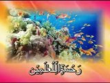 youtube darood e Taj Noor TV  Google Videos