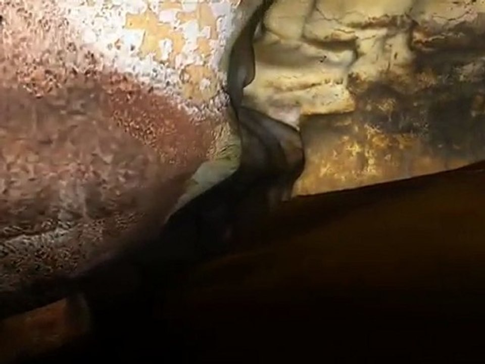 Lascaux : www.lascaux.culture.fr - visite virtuelle