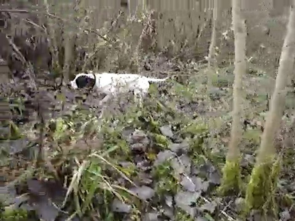 rené et désia à la bécasse