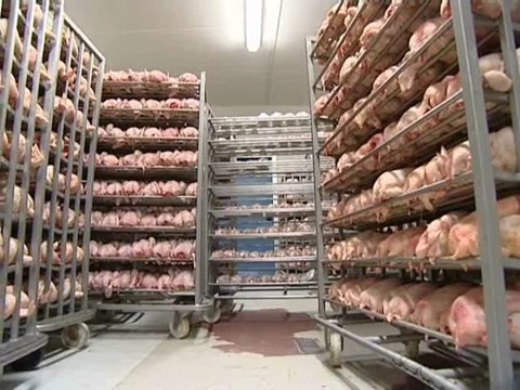 oeilleton : licques episode 5