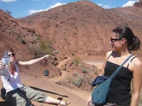 [Argentine - Nord-Ouest] Roi lion spirit