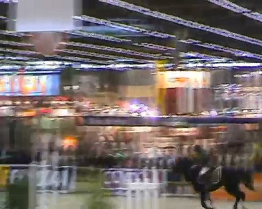 20091209 PARIS'CUP CSO EQUIPES PONEYS