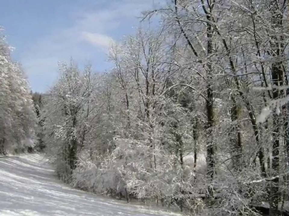 Weisser Winterwald - interpretiert von Ruth B.