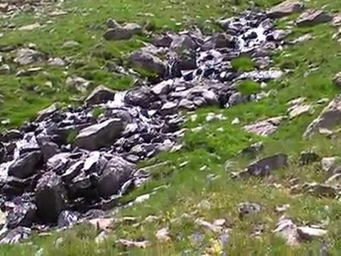 muhammetdilekoglu.net / Yayla suları