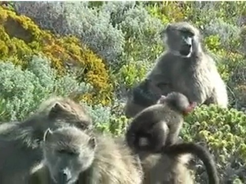 Tucker Hosting Reliable & Affordable Web Hosting