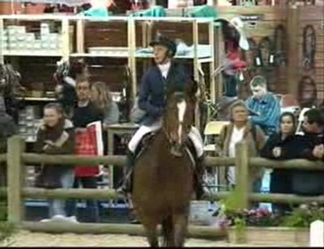 CSO PARIS CUP II Salon du cheval