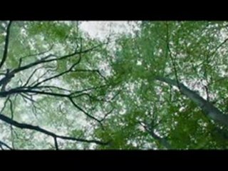 Harry Potter et les relique de la mort EXTRAIT !! EXCLUS !!