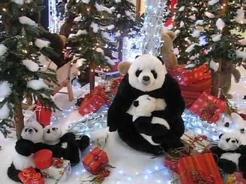 Saint Sébastien sur Loire : Noël