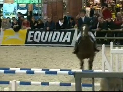 CSO PARIS CUP Salon du cheval