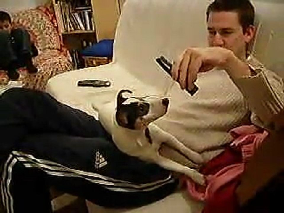 JACK RUSSEL CHANTE