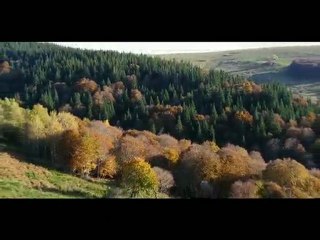 Nature Colorée (le Cantal)