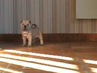 E'DOLL BABY DES MING WAY