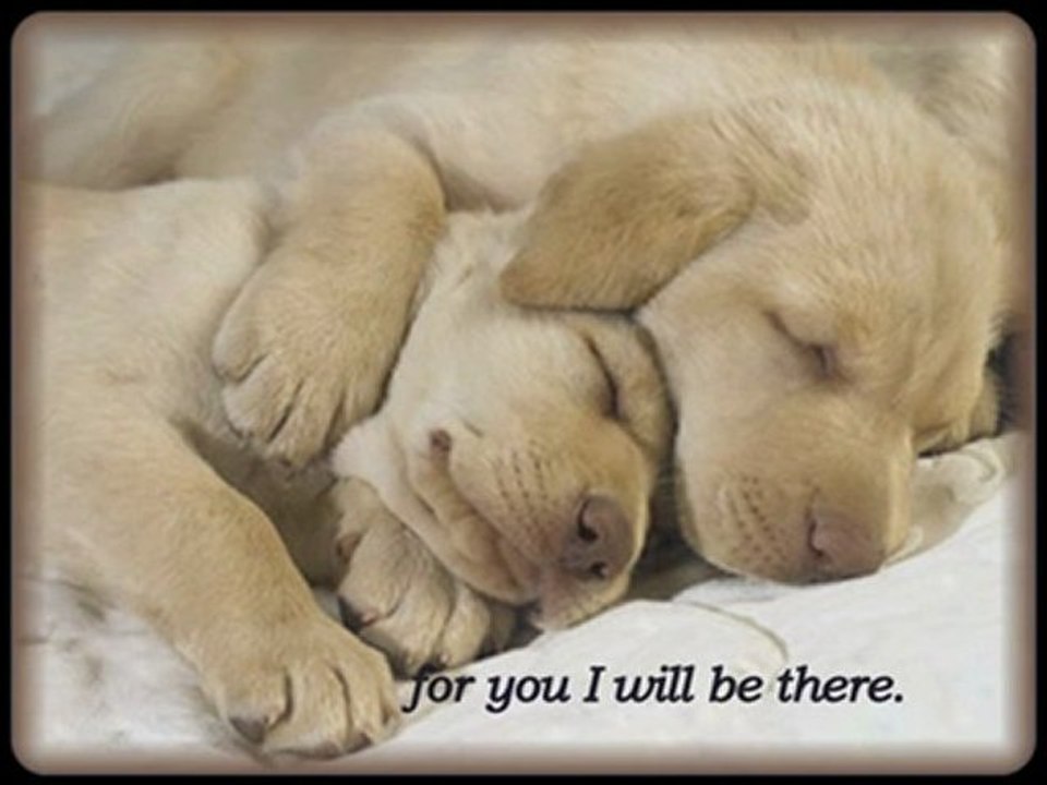 YOU'RE NEVER ALONE