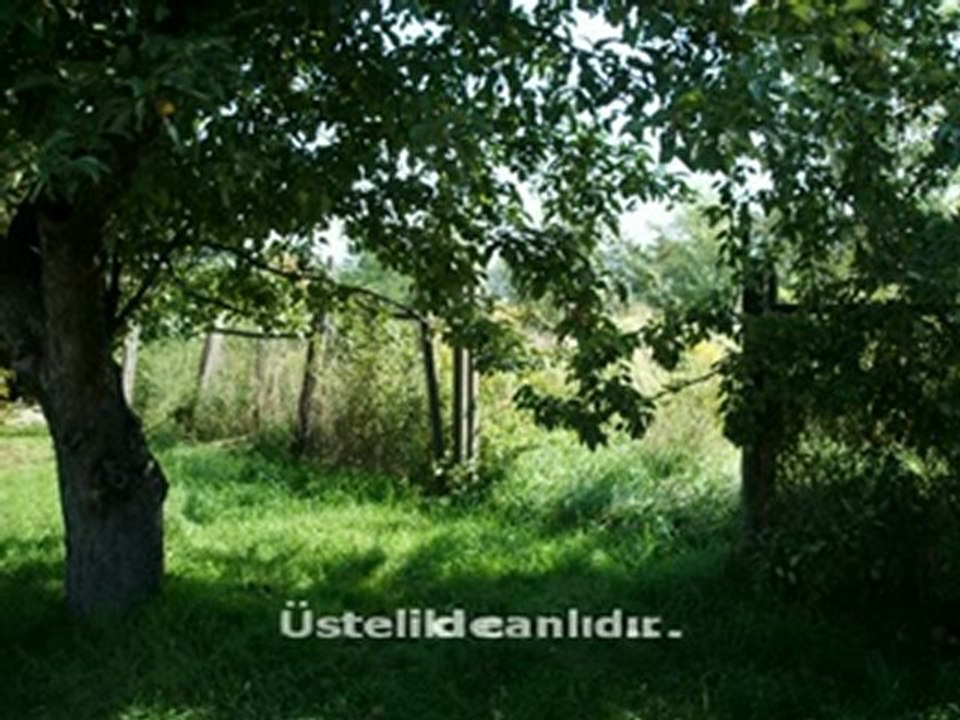 ---BU AYRILIKTA GAYRILIK YOK---