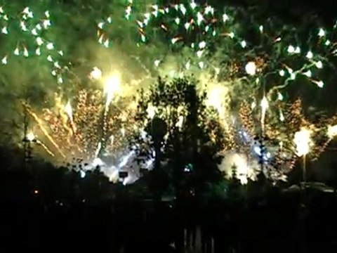 Feu Artifice Disney soirée CE LIGNES AF DEC 2009