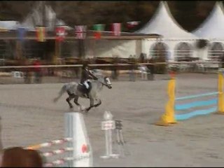 Vedene Ponam D1 + Tournées des As  D2p