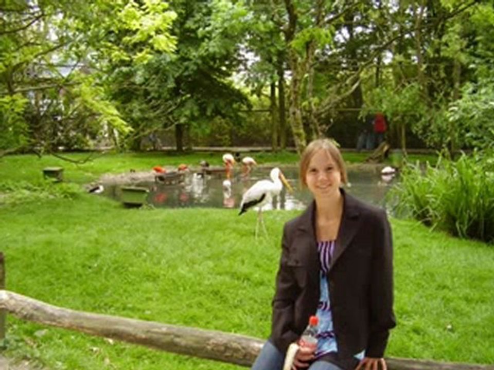 AMIES  IS   FIDELE A MON BLOG