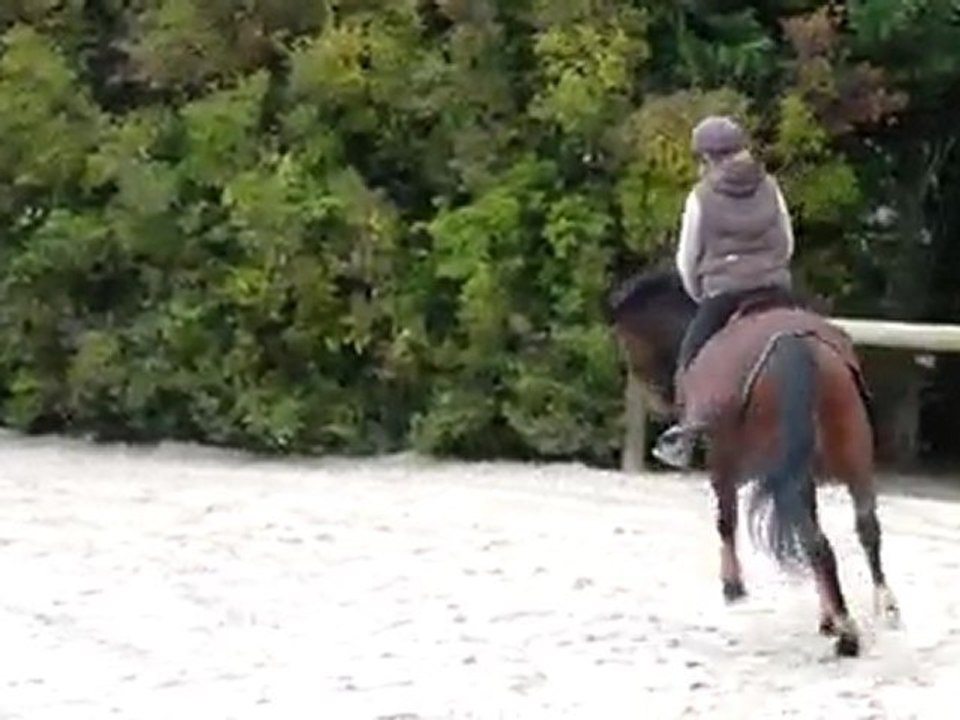 Séance du 121209_Galop