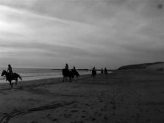 A cheval - Pour toujours