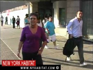 Una visita guidata di Central e West Harlem, New York