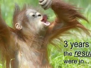 How to repair the world - narrated by Stephen Fry