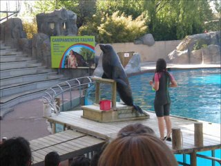 Dbi - Espagne Octobre 2008