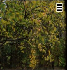 L univers de Sephen Hawking Voir pour croire 2