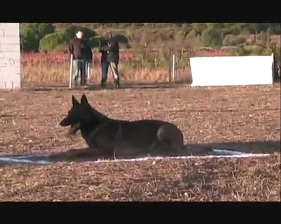 Cronos vidéo brevet Ring