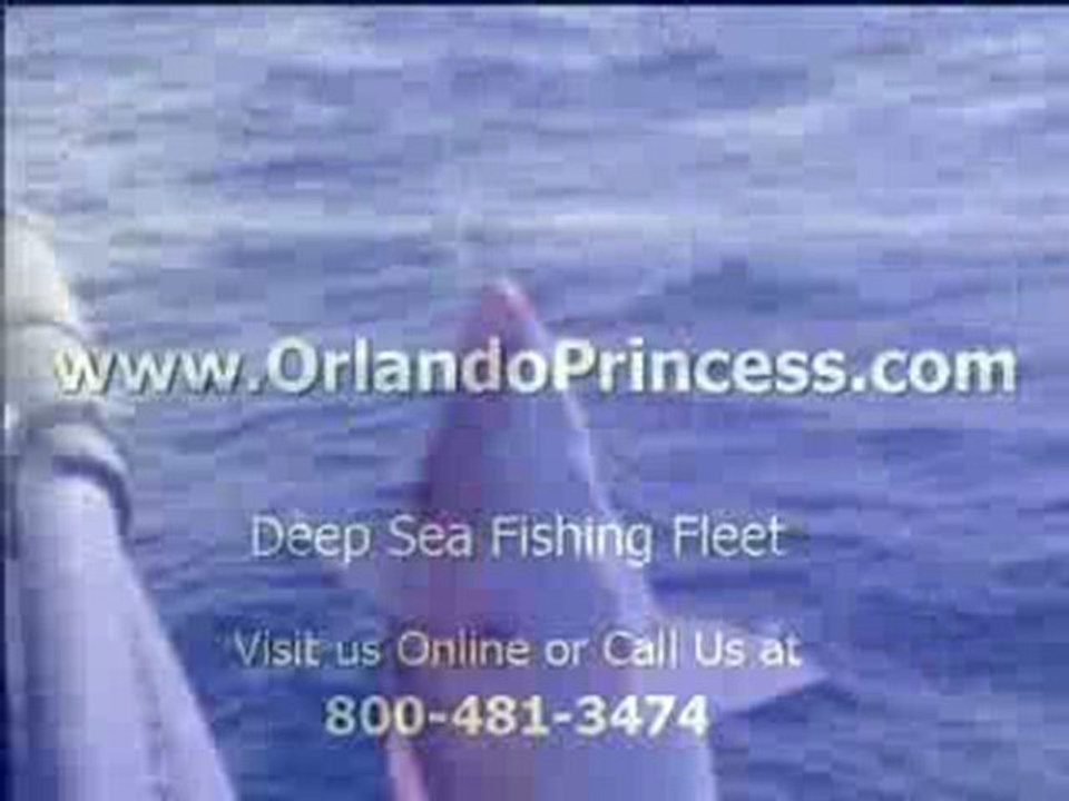 Deep Sea Fishing Port Canaveral