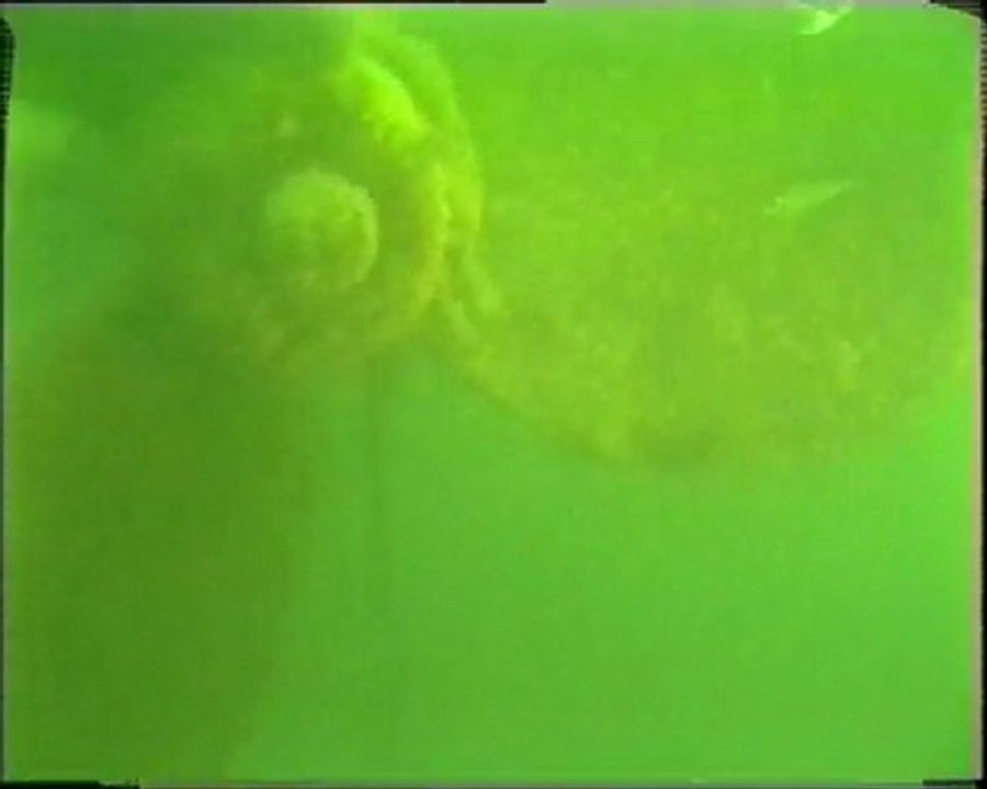 Epave Aviso Sables d'Olonne