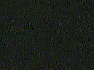 Can't Stop Live-Red Hot Chili Peppers