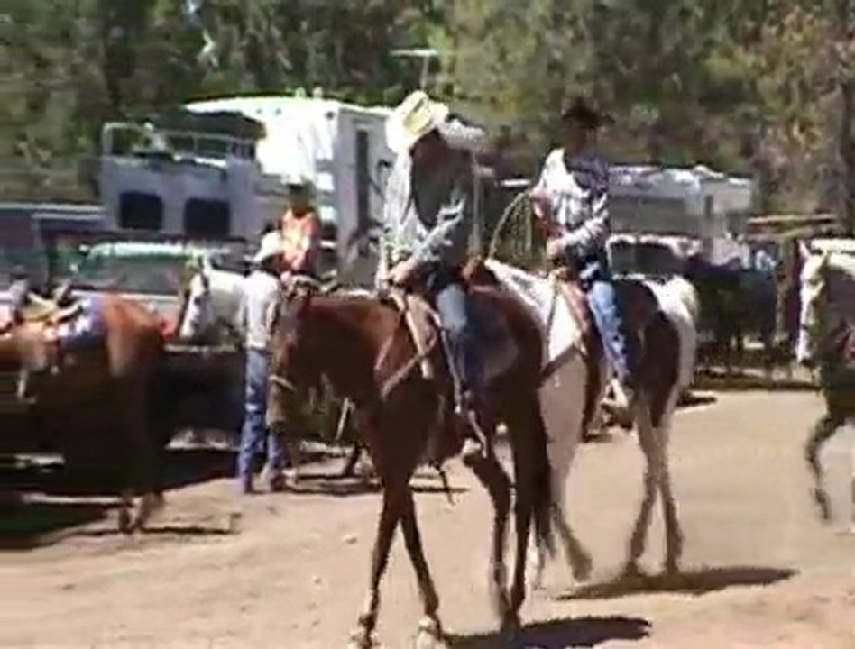Gobetrotters 2007