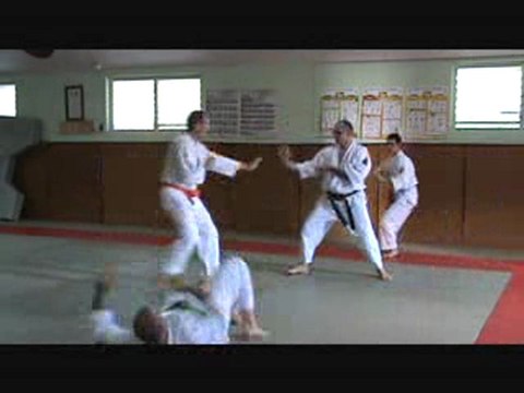 Nihon Tai-Jitsu 3ème Kata