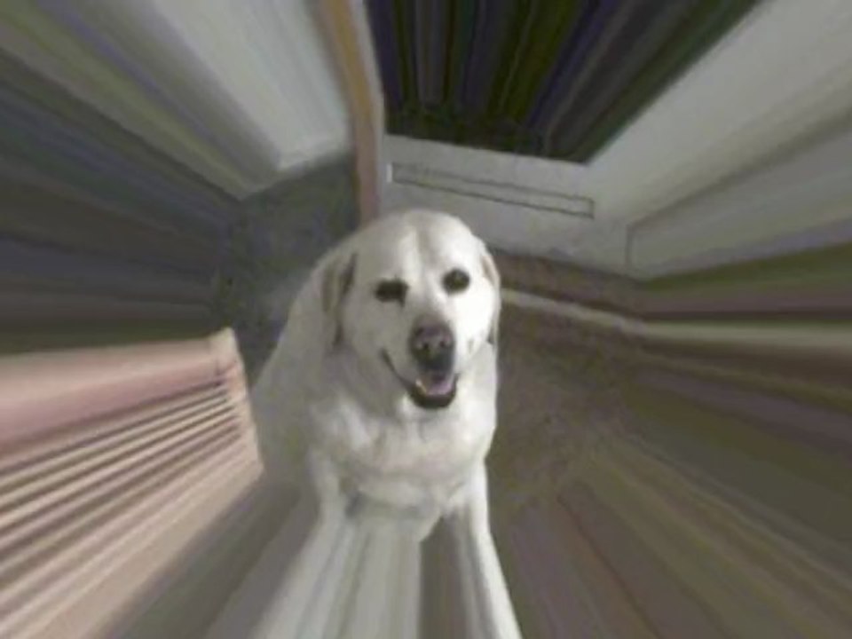 Weck up oder mein "supertalent"