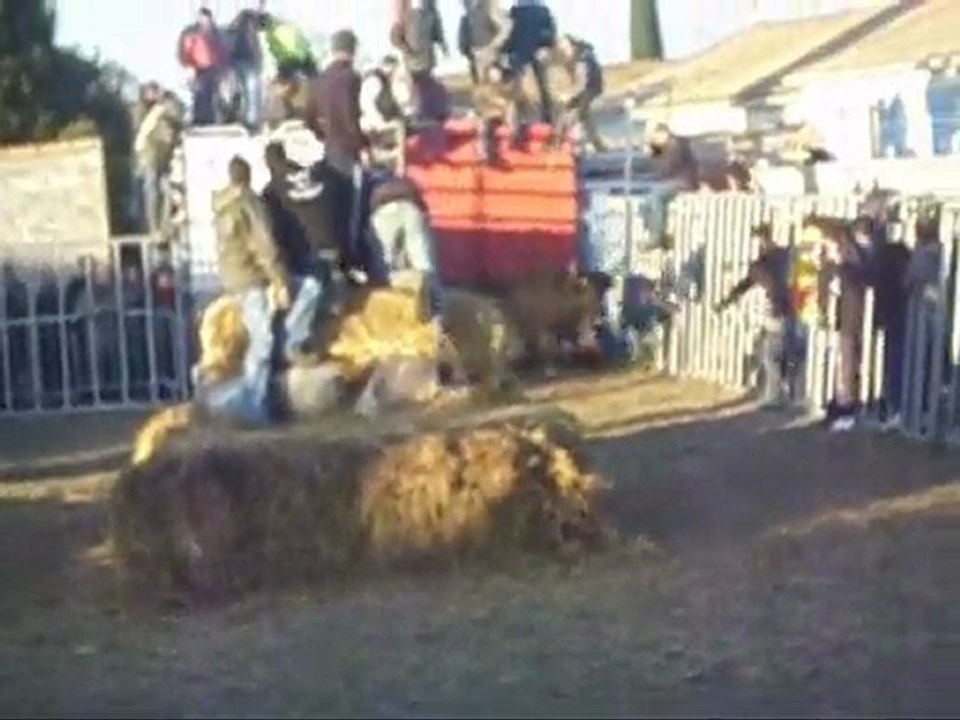 v encierro a codognan  les alpilles et du gardon 12 12 09