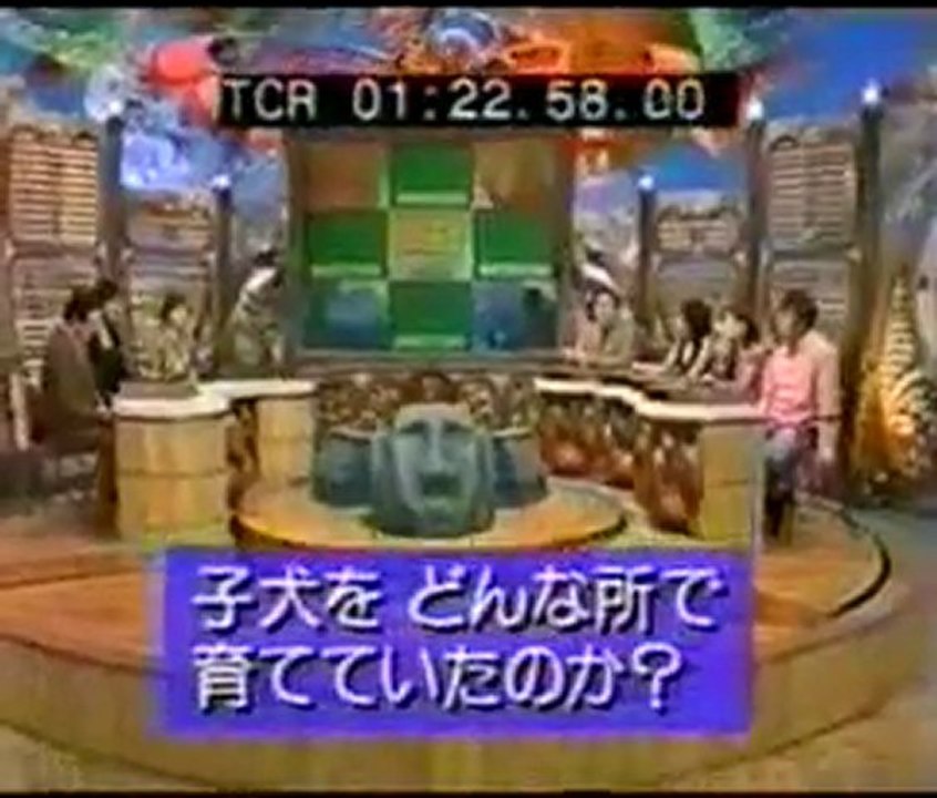 JAPON TV KANGAL BELGESELİ  2 (PANTER SOYU)