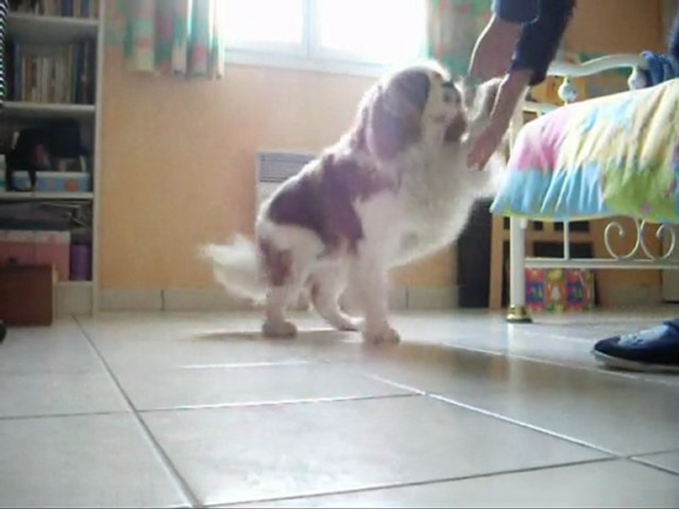 Le pas espagnol avec Abellio