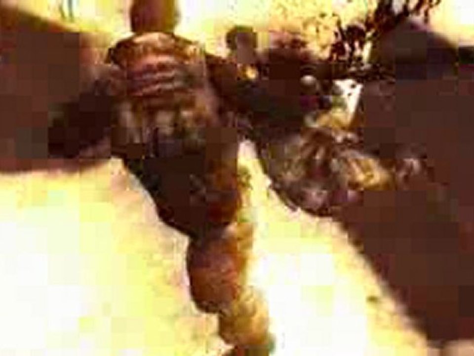 Dizzel Online MMO-TR