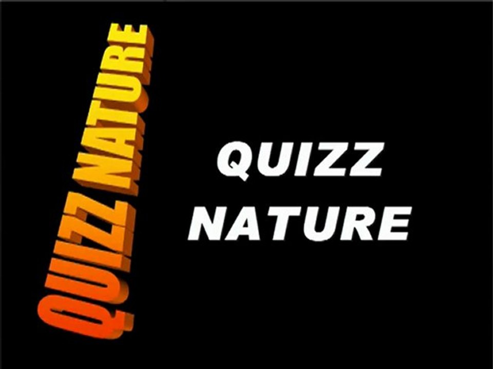 QUIZZ NATURE