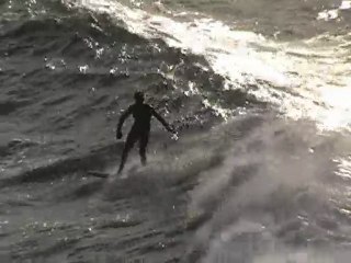 Quiberon : walk on the wild side