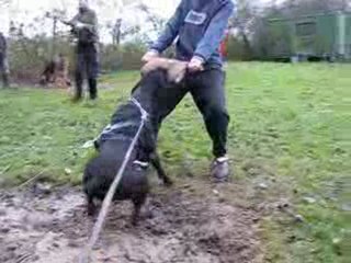 Cross mordant 012/12/09