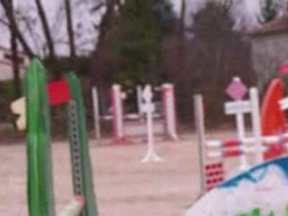 cso crest 13/12/09 club 1