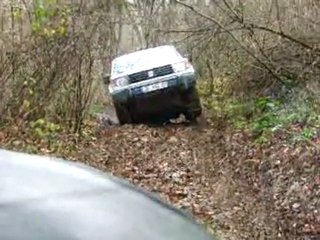 Marche Telethon 2009 IMG_0779