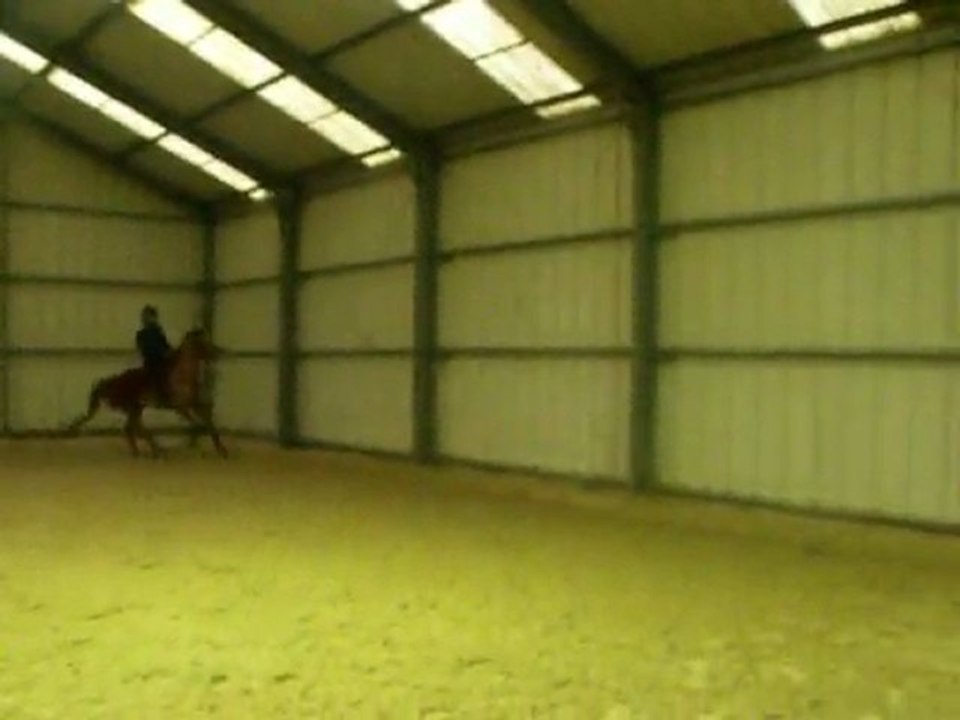 Dressage  décembre 2009