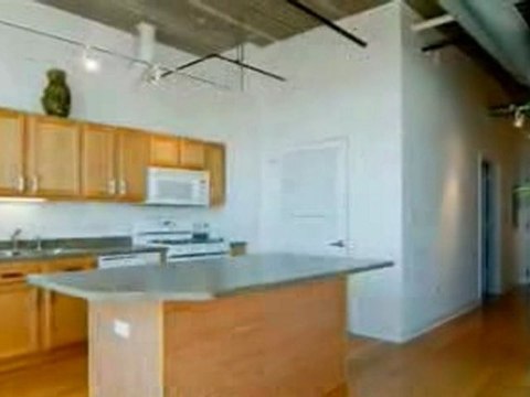 Chicago Real Estate Deal 1Bed/1Bath Condo