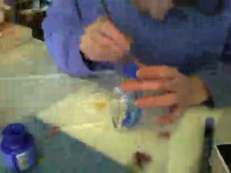 Capture_20091212_3