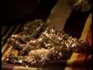 Habib Wahid - Maya - Maya - www.bdGold.com - Google Chrome