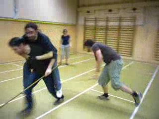 Bourdons canassons 1