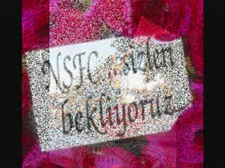 Nadide Sultan - NSFC Tanitim 2