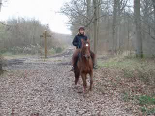 Pas espagnol en foret